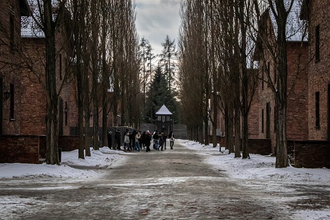 Auschwitz Birkenau Tour from Krakow: Private Transfer + Ticket - Birkenau (Auschwitz II) at Brzezinka: Scale, Selection, and Survival
