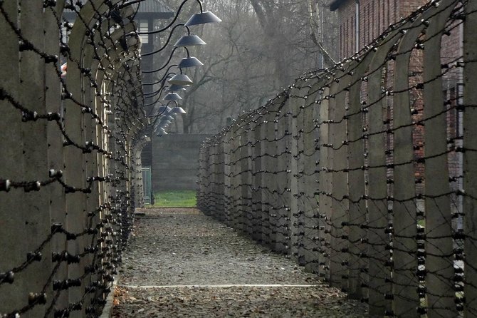 Auschwitz-Birkenau Tour from Wrocław - Private Minibus, Small Group Feel, and a Real Schedule