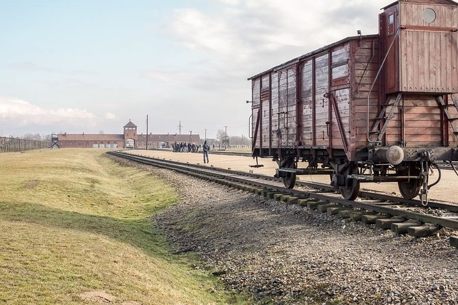 Auschwitz-Birkenau Tour Guide and Jewish museum and synagogue - Timed entry, ticket handling, and avoiding the worst waiting