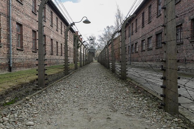 Auschwitz-Birkenau & Wieliczka in one day (Guided tour) - Price and Value: Is $156 a Good Deal for Two Major Sites?