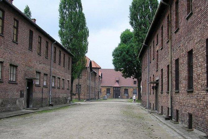 Auschwitz Guided Tour - Birkenau in about an hour: barracks, selections, and the road of death