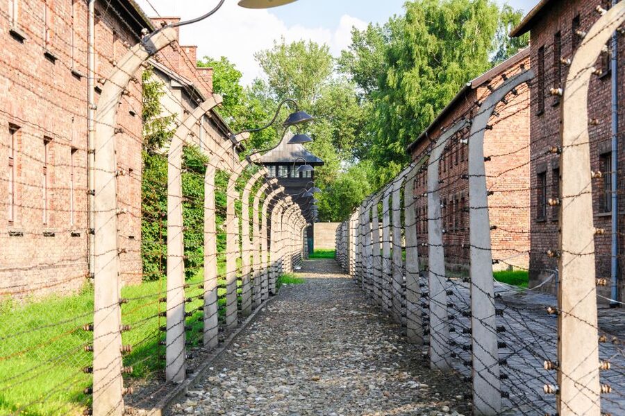 Auschwitz Ticket and Full-Day Tour from Krakow - Auschwitz II-Birkenau: The Guided Walk, Lunch Break, and What to Expect
