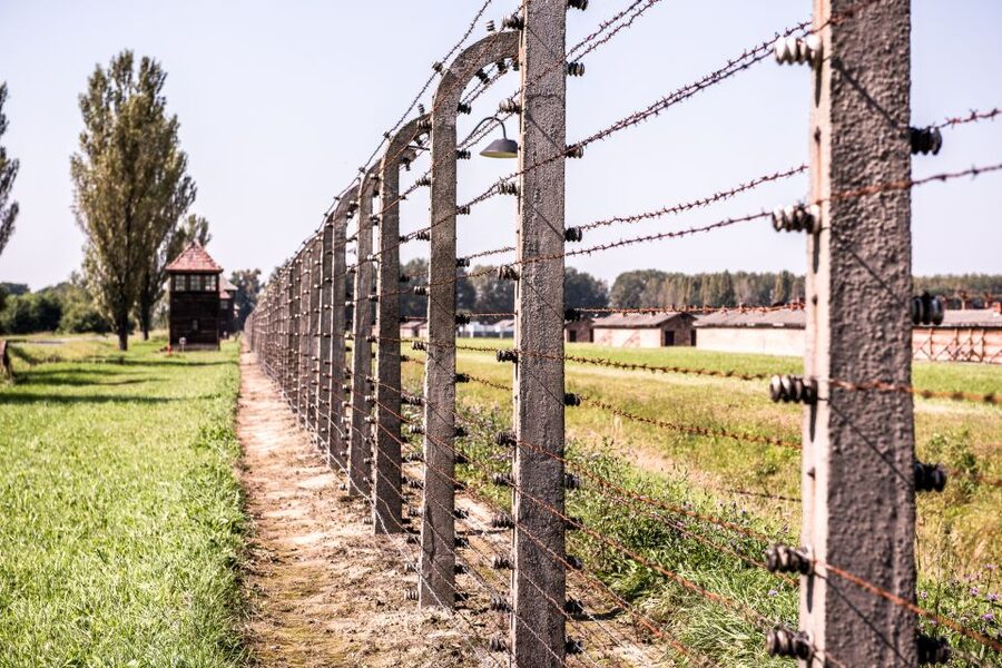 Auschwitz Ticket and Full-Day Tour from Krakow - Listening Comfort: Headphones, Group Flow, and Staying Oriented