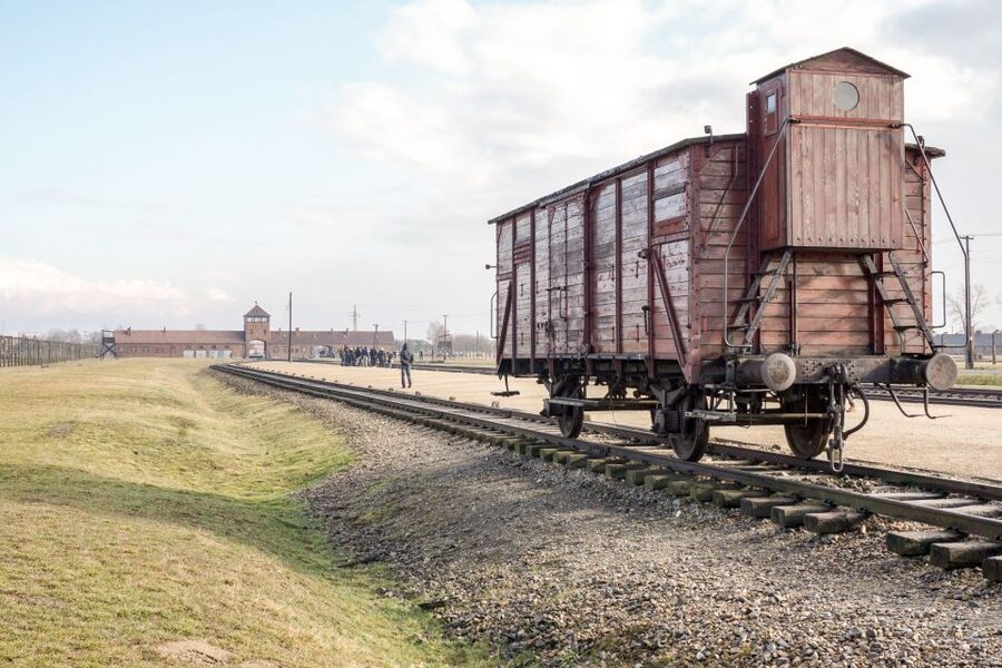 Auschwitz Ticket and Full-Day Tour from Krakow - What You Must Get Right: ID, Name Matching, and Bag Rules