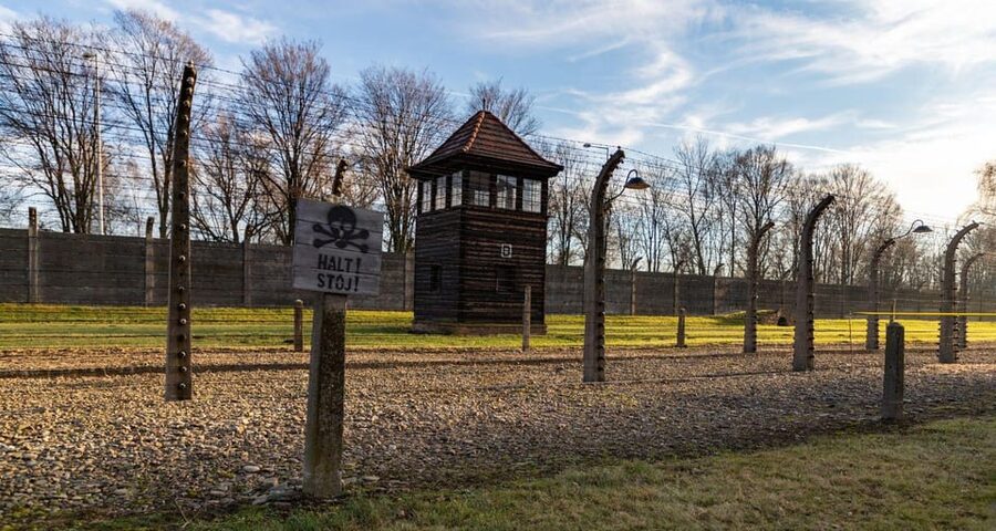 Budapest: Auschwitz Birkenau Private Day Tour - Drive logistics from Budapest: what the comfy ride does for you