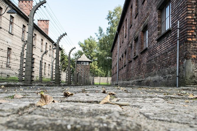 Combined: Auschwitz Birkenau and Salt Mine private chauffeur from Krakow - Birkenau (Brzezinka): Shorter Time, Big Meaning