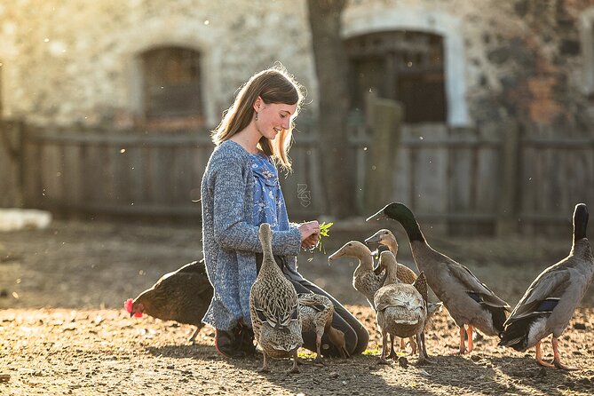 Country and Castle Tours by Carriage - Coffee and Cake Back at the Farm: Why the Break Matters