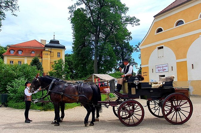 Country and Castle Tours by Carriage - Who This Tour Suits Best (And Who Might Want a Different Day Plan)