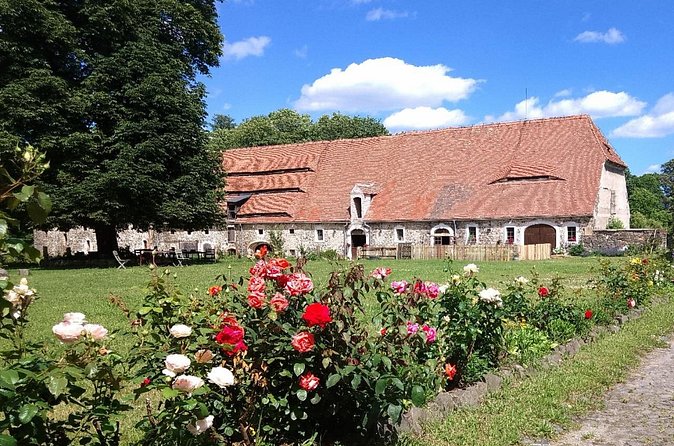 Country and Castle Tours by Carriage - Should You Book This Carriage Tour?