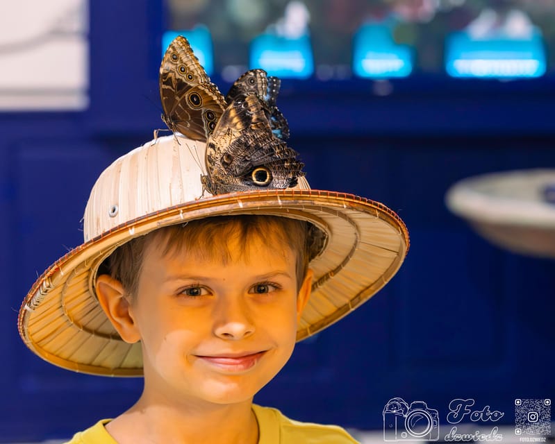 Cracow: 4 Mazes and Living Butterfly Museum Entry Ticket - Mirror Maze: why illusions feel fun, not frustrating