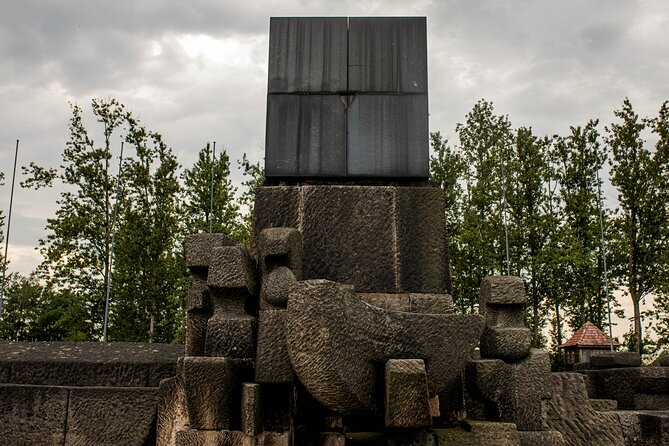 Day Tour to Auschwitz Birkenau Museum with Transportation - Group size, comfort, and what the dirt tracks mean