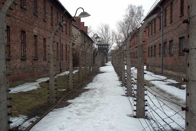 Exclusive Small Group Auschwitz-Birkenau Guided Tour from Krakow - Birkenau essentials: ramps, watchtowers, crematoriums, and the Death Wall