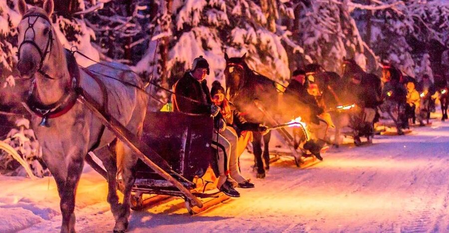 Fram Kraków: Tatra Mountain Sleigh Ride in Zakopane - Chochołowska Valley and the Real Sleigh Feel