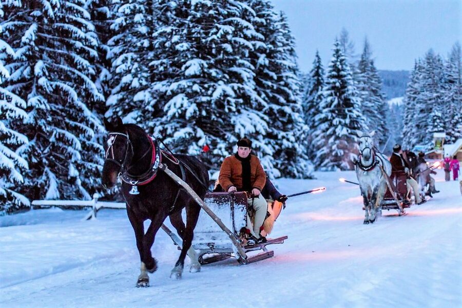 Fram Kraków: Tatra Mountain Sleigh Ride in Zakopane - Should You Book This Fram Kraków Sleigh Ride?