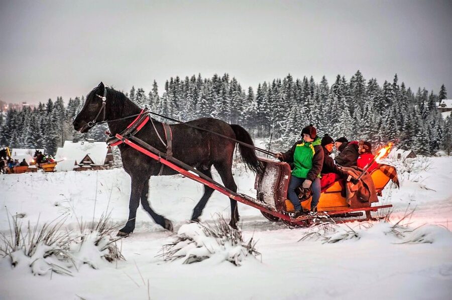 Fram Kraków: Tatra Mountain Sleigh Ride in Zakopane - Key Points You Should Know Before You Go