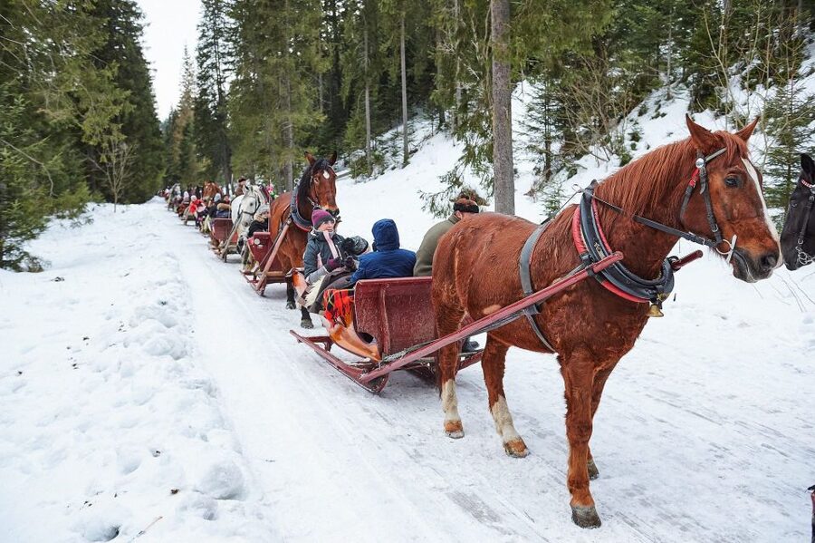 Fram Kraków: Tatra Mountain Sleigh Ride in Zakopane - Zakopane Promenade Walk and Holy Family Church