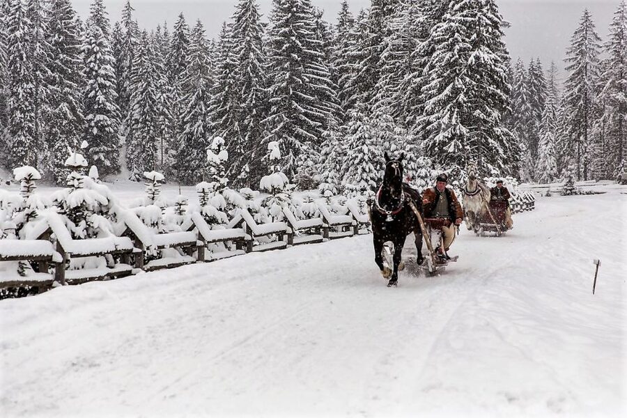 Fram Kraków: Tatra Mountain Sleigh Ride in Zakopane - Tatra National Park Entrance, and Why That Matters