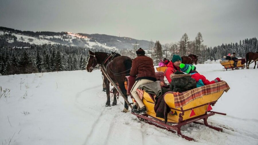 Fram Kraków: Tatra Mountain Sleigh Ride in Zakopane - The Chochołowska Valley Sleigh Ride: Bells, Flat Glide, Snow Silence