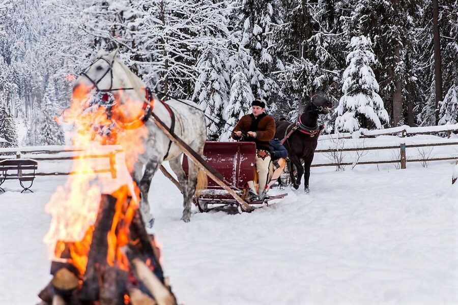 Fram Kraków: Tatra Mountain Sleigh Ride in Zakopane - Highlander’s Gazebo Bonfire: Tea, Sausage to Roast, and Vodka Shot