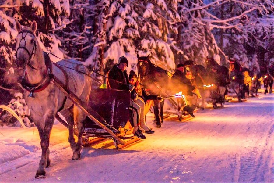 Fram Kraków: Tatra Mountain Sleigh Ride in Zakopane - Kraków to Zakopane in One Long Winter Stretch