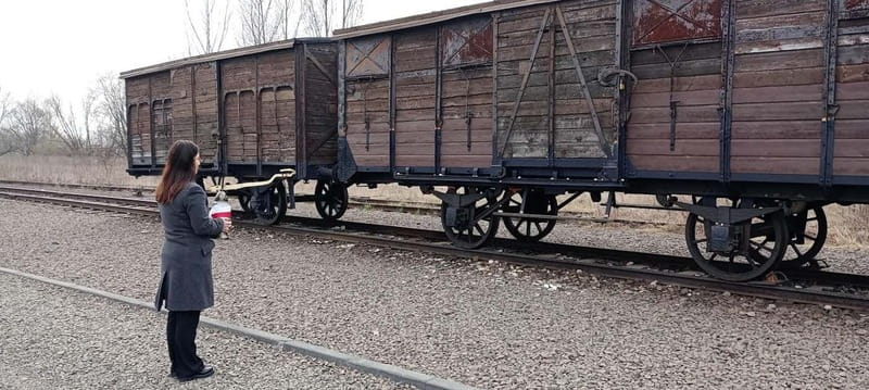 From Kracow: Auschwitz Complex Alternative Tour - K+R bus stop start, round-trip timing, and what 8 hours really means