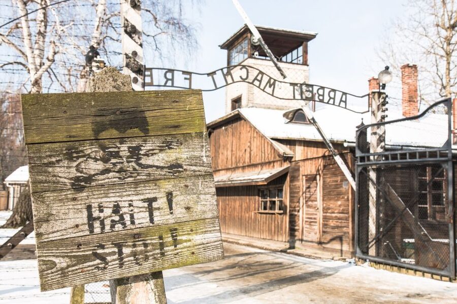 From Krakow: Auschwitz and Wieliczka Salt Mine Full-Day Trip - The day’s logistics: pickup, transport, and the kind of walking you should expect