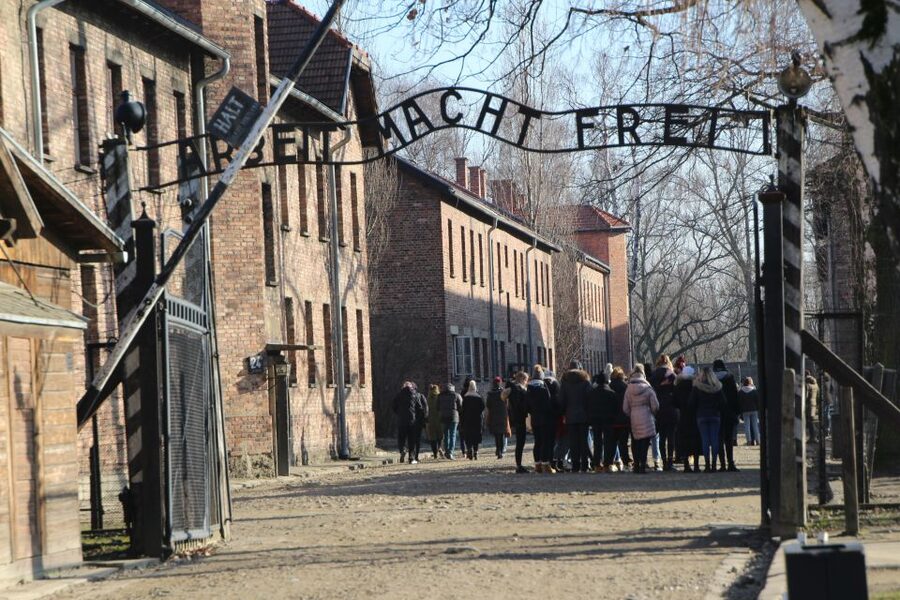 From Krakow: Auschwitz-Birkenau and Self-Guided Day Tour - How This Self-Guided Auschwitz-Birkenau Day Works