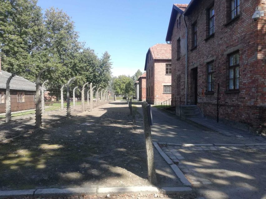From Krakow: Auschwitz-Birkenau and Self-Guided Day Tour - Breaks, Timing, and Avoiding a Travel Day Meltdown