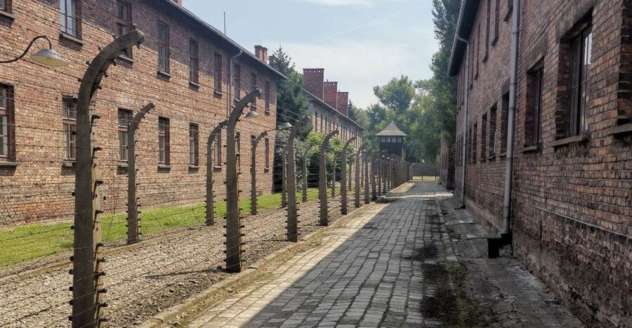 From Krakow: Auschwitz-Birkenau Camp Complex Guided Day Trip - Key things to know before you go
