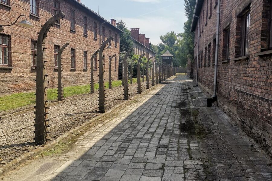 From Krakow: Auschwitz-Birkenau Camp Complex Guided Day Trip - From Auschwitz to Birkenau: The Short Ride That Changes the Scale