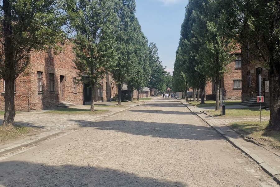 From Krakow: Auschwitz-Birkenau Camp Complex Guided Day Trip - Understanding Monowitz: Forced Labor and Daily Survival