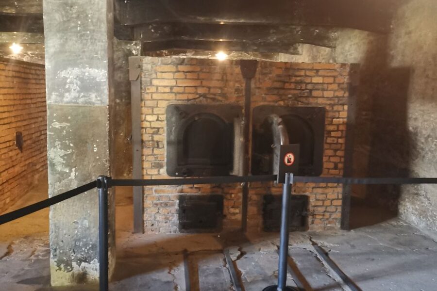 From Krakow: Auschwitz-Birkenau Camp Complex Guided Day Trip - The Italian Guide: How Interpretation Changes What You Notice