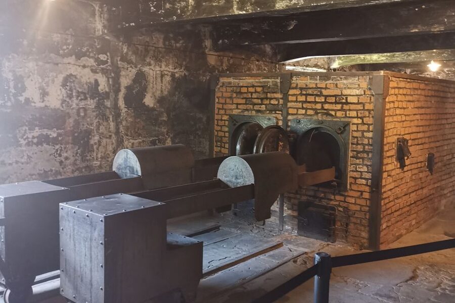From Krakow: Auschwitz-Birkenau Camp Complex Guided Day Trip - Practical Tips That Make the Day Easier