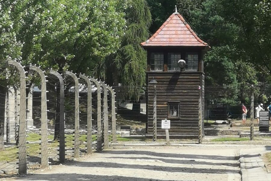 From Krakow: Auschwitz-Birkenau Camp Complex Guided Day Trip - Price and Value: Why $83 Can Be a Fair Deal