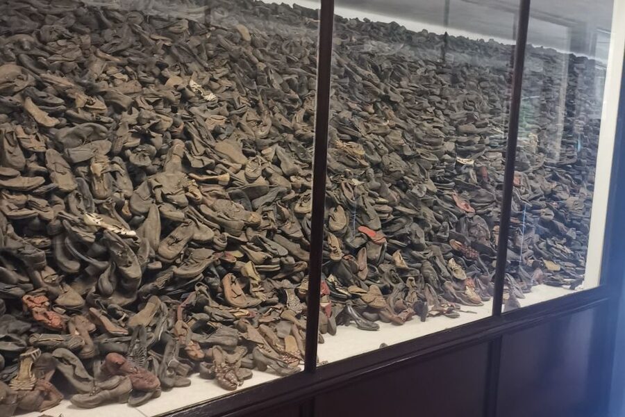 From Krakow: Auschwitz-Birkenau Camp Complex Guided Day Trip - The 7-Hour Plan, Including the 45 km Transfer