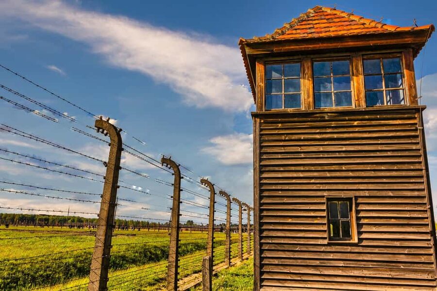 From Krakow: Auschwitz-Birkenau Full-Day Guided Tour - How the guide and headset change the experience