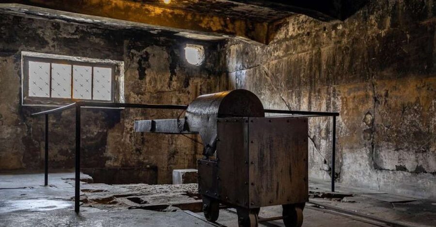 From Krakow: Auschwitz-Birkenau Full-Day Tour - Key Highlights You’ll Notice Right Away