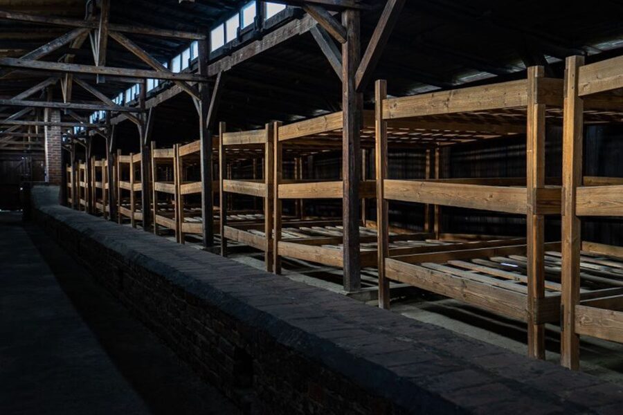 From Krakow: Auschwitz-Birkenau Full-Day Tour - Birkenau Walks, Fences, Watchtowers, and the Scale of the Camp