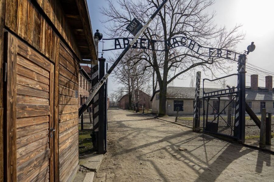 From Krakow: Auschwitz-Birkenau Full-Day Tour - Who Should Book This Full-Day Auschwitz-Birkenau Tour