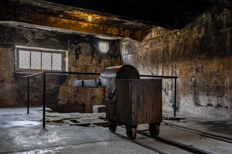From Krakow: Auschwitz-Birkenau Full-Day Tour - Entering Auschwitz I Museum, and Why the Orientation Helps
