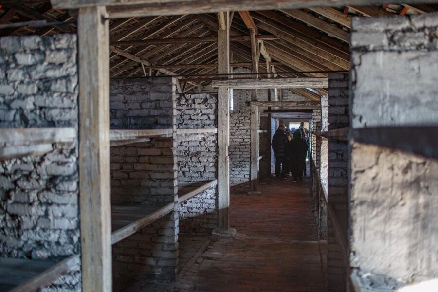 From Krakow: Auschwitz-Birkenau Guided Full-Day Tour - Skip-the-line entry, and the realistic queue reality