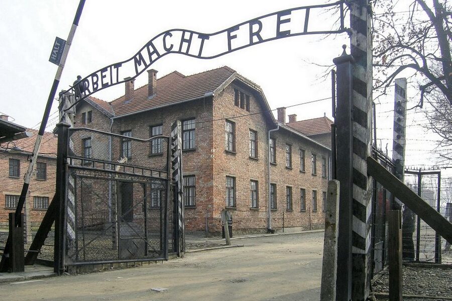 From Krakow: Auschwitz-Birkenau Guided Tour & Hotel Pickup - Auschwitz II-Birkenau: understanding scale, process, and the Final Solution