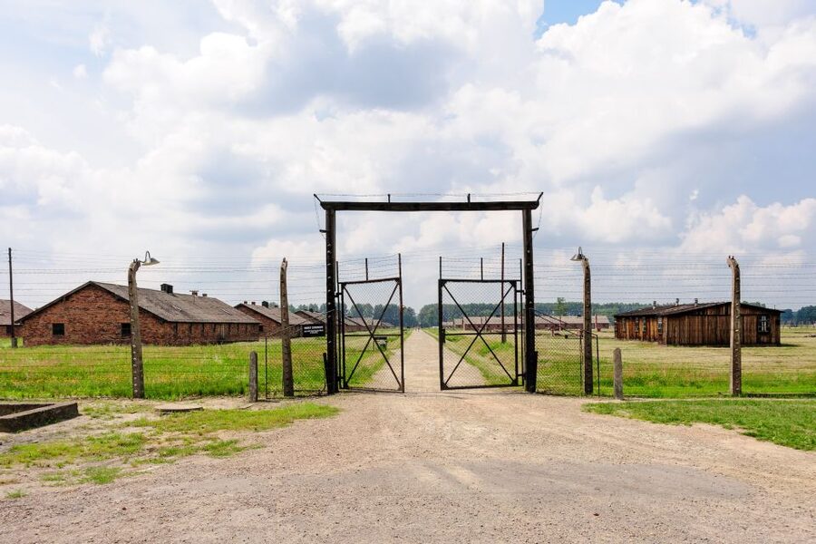 From Krakow: Auschwitz-Birkenau Guided Tour & Hotel Pickup - The guides and the tone: what you should look for