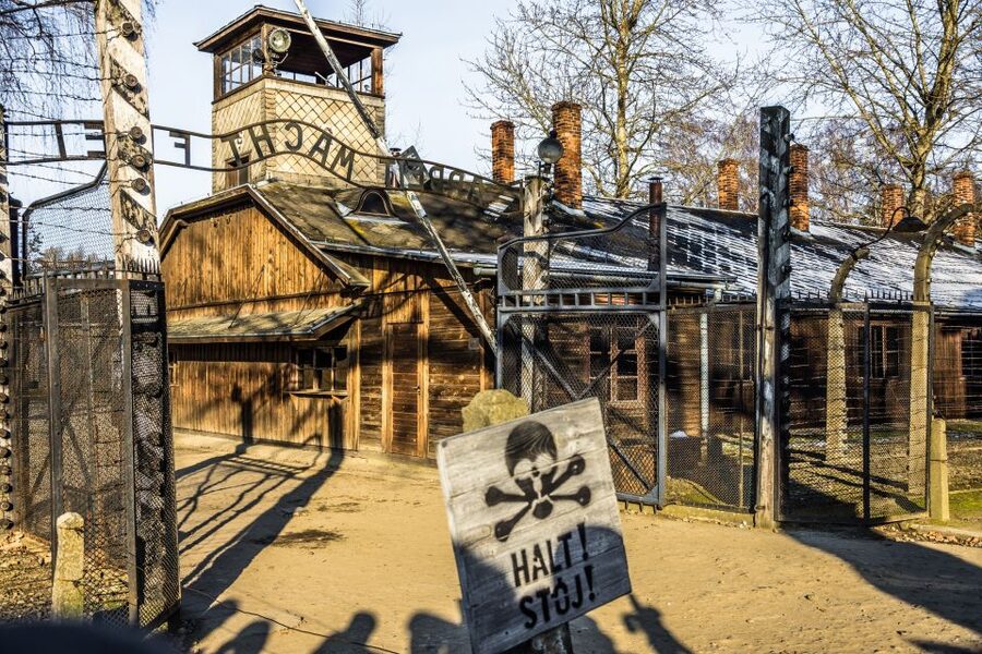From Krakow: Auschwitz-Birkenau Guided Tour & Pickup - Birkenau (Auschwitz II): using your 1.5 hours wisely