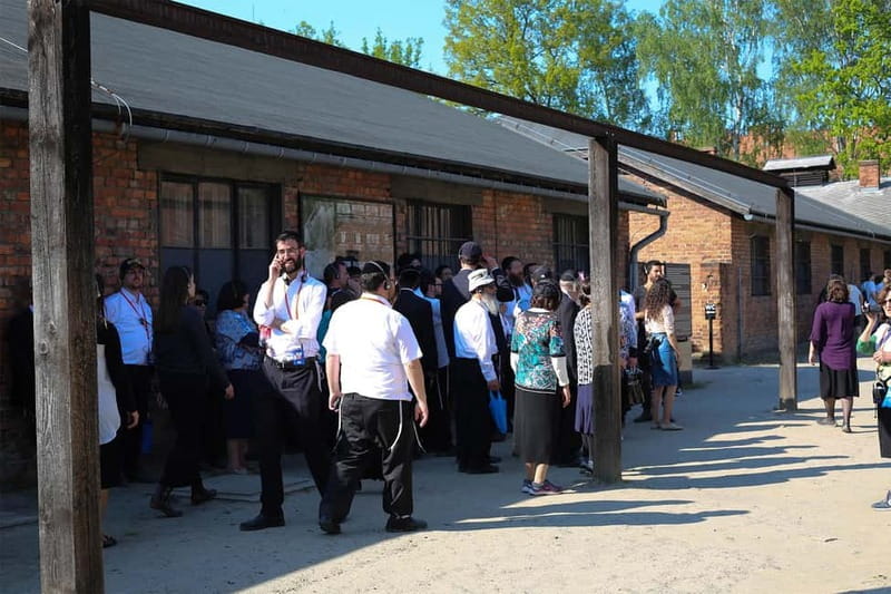 From Krakow: Auschwitz-Birkenau Guided Tour & Pickup Options - Why This Auschwitz-Birkenau Day Trip From Krakow Feels Worth It