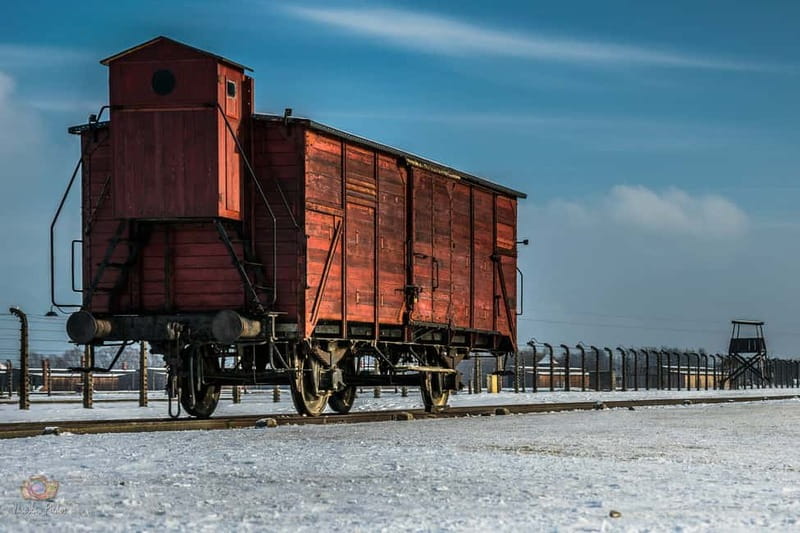 From Krakow: Auschwitz-Birkenau Guided Tour & Pickup - Price and value: why about $22 can make sense