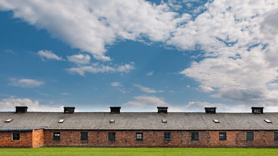 From Krakow: Auschwitz-Birkenau Guided Tour, Several Options - Logistics that affect your comfort: shoes, clothing, and rules