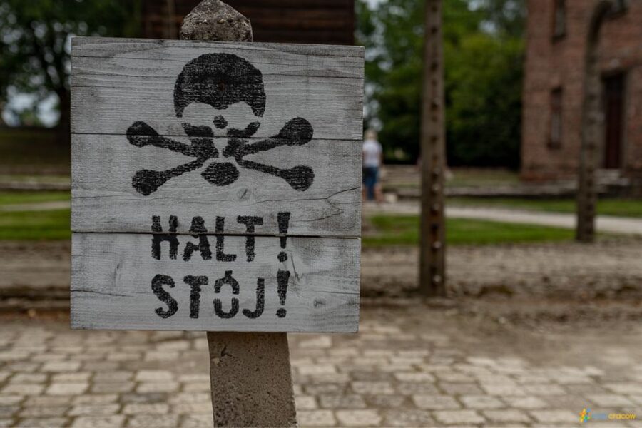 From Krakow: Auschwitz-Birkenau Guided Tour, Several Options - Languages and guide style: how you’ll hear the story