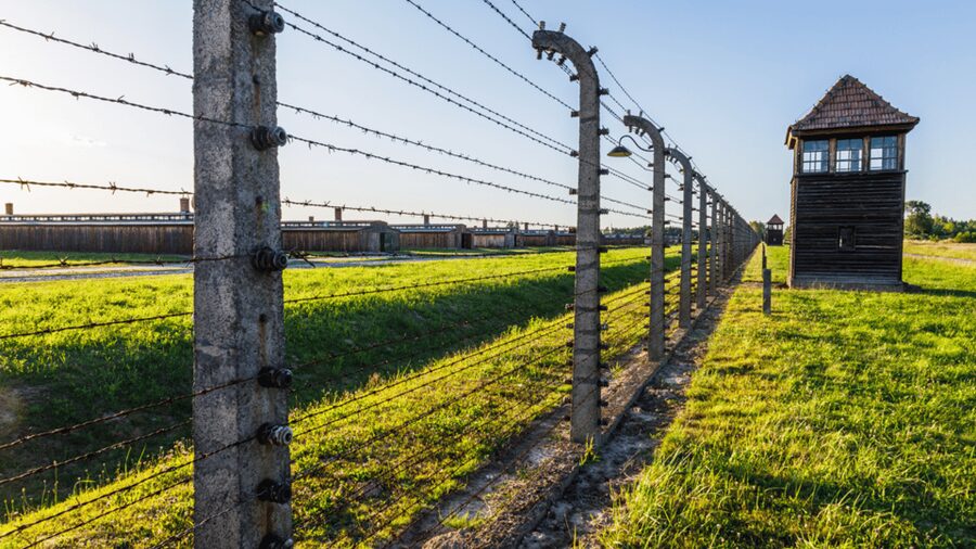 From Krakow: Auschwitz-Birkenau Guided Tour, Several Options - Auschwitz I: passing the gate and understanding the system