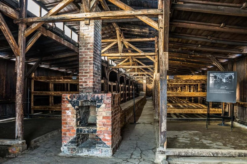 From Krakow: Auschwitz-Birkenau Guided Tour & Transportation - Birkenau: seeing the scale where mass killings occurred
